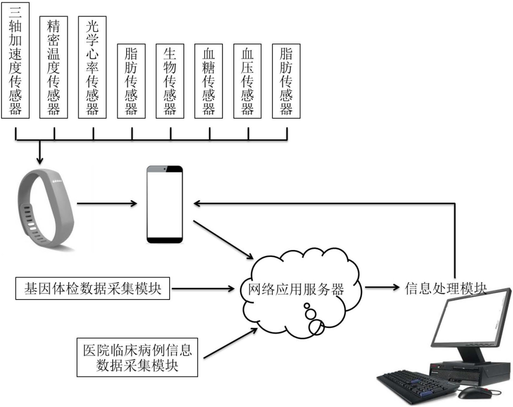 电子科技在智能穿戴设备中的应用如何提升数据分析能力